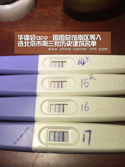 华体会