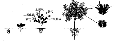 华体会