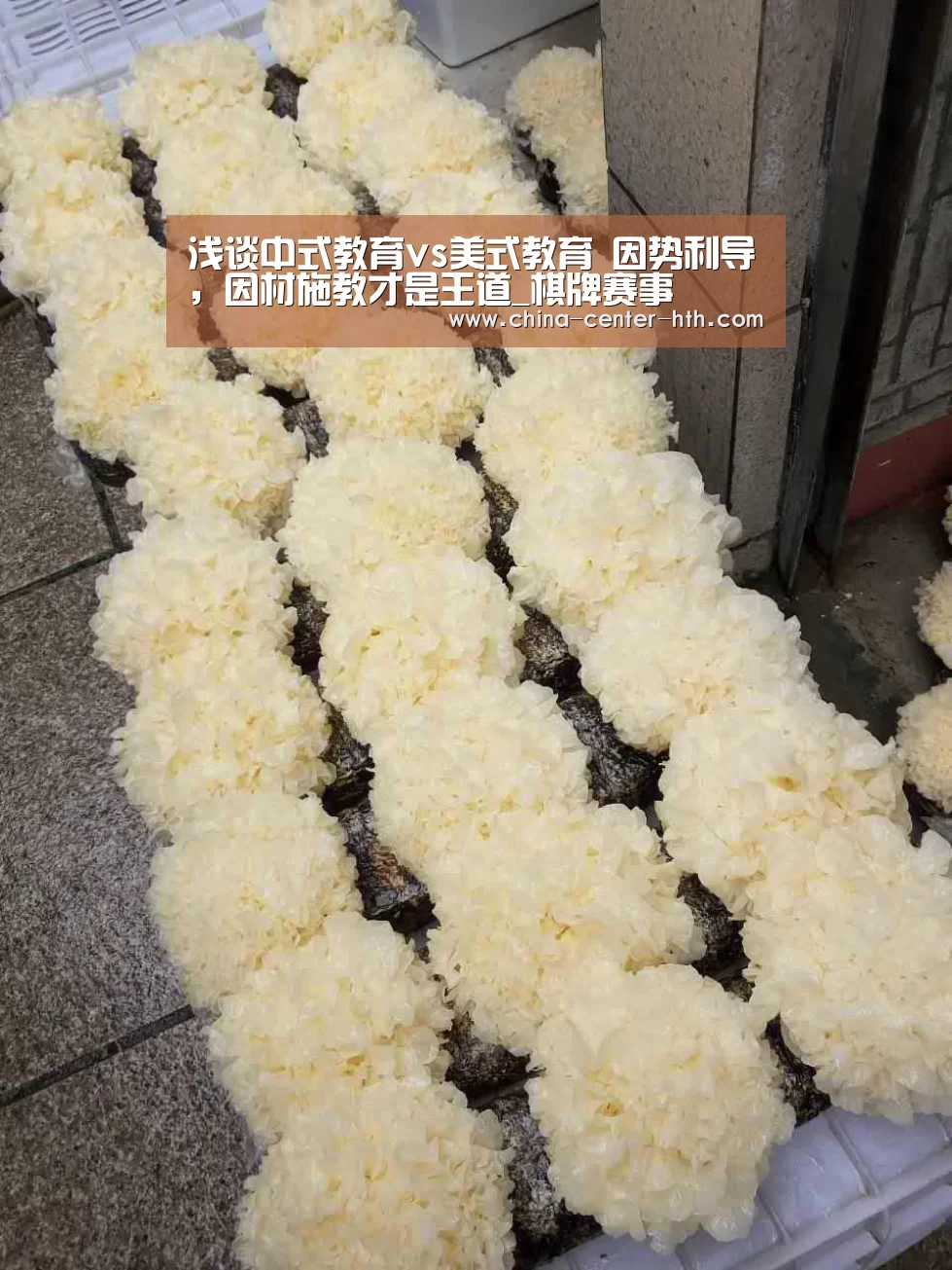 棋牌赛事